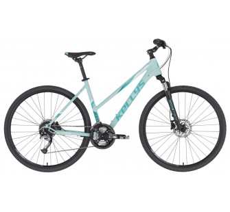 Kellys Pheebe 10 Cross 2021 mint
