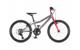 Author Energy 20" 2021 stříbrná/červená